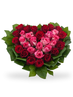 Cuore-Rose-Rosse-E-Rosa